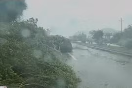 Bão Vincente tràn vào miền Nam Trung Quốc