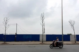Đề nghị "cấm cửa" nhà thầu trồng cây chết khô trên đường Nguyễn Xiển