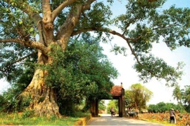 Sở hữu nhiều lợi thế nhưng lý do nào khiến Hà Nội gặp khó khăn trong phát triển công nghiệp văn hóa?