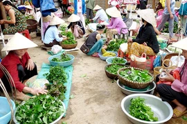 Chuỗi hoạt động “Chợ quê - Ký ức tuổi thơ”