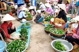 Chuỗi hoạt động “Chợ quê - Ký ức tuổi thơ”
