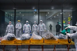 Triển lãm Ảnh nghệ thuật Việt Nam 2020: Số lượng đông đảo không đồng nghĩa với chất lượng 