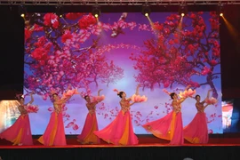 Chương trình nghệ thuật “Rạng rỡ - Kiêu hùng: 50 năm Chiến thắng Hà Nội – Điện Biên Phủ trên không” 