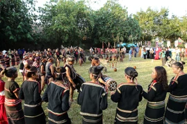 Trải nghiệm "Sắc Xuân trên mọi miền Tổ quốc" tại Hà Nội