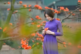 Facebook, Zalo "sáng rực" hình ảnh áo dài Việt Nam