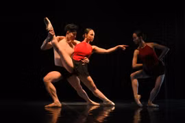 Vở ballet "Đông Hồ" lấy cảm hứng từ bức tranh "Đánh ghen", "Đám cưới chuột"