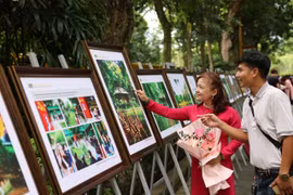 55 năm bảo tồn và phát huy giá trị Khu Di tích Chủ tịch Hồ Chí Minh tại Phủ Chủ tịch