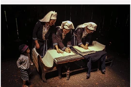 Trượt Cúp Vàng thế giới, nhiếp ảnh Việt Nam nhận Bằng Danh dự