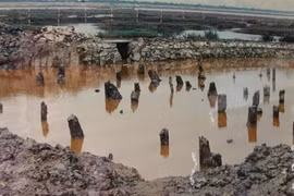 Đề nghị bổ sung bãi cọc Bạch Đằng vào Hồ sơ Yên Tử trình UNESCO 