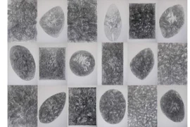 Mất tác phẩm tại Triển lãm mỹ thuật Việt Nam: Vẫn quanh co chưa đi đến thống nhất!