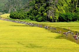 Tuần du lịch "Sắc vàng Tam Cốc - Tràng An" năm 2022 