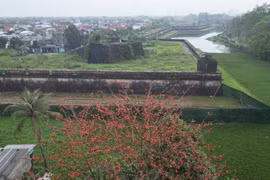 Hơn 49,3 tỉ đồng tu bổ, tôn tạo mặt Tây của kinh thành Huế