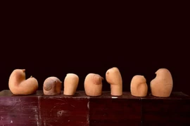 Mất tác phẩm tại Triển lãm Mỹ thuật Việt Nam 2020: Họa sĩ gửi khiếu nại lên Thanh tra Bộ VHTTDL