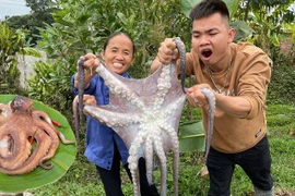 Bà Tân Vlog mở kênh Youtube mới, nội dung như cũ