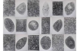 Họa sĩ chấp nhận đền bù, rút đơn khiếu kiện Ban tổ chức Triển lãm Mỹ thuật Việt Nam 2020