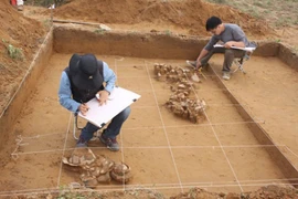 Trưng bày hiện vật của di chỉ khảo cổ học Bãi Cọi mang đặc trưng của văn hóa Đông Sơn và Sa Huỳnh