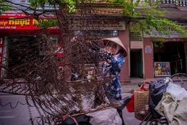 Tọa đàm về nghề đồng nát ở Việt Nam