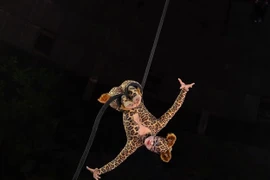 Xiếc Việt giành vương miện Đồng 