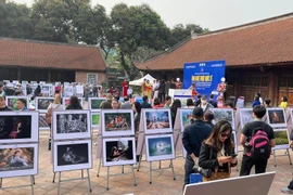 Hạn chế của các tay máy Việt Nam tại cuộc thi Ảnh nghệ thuật quốc tế lần thứ 12 (VN23)