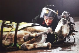 Trao giải và trưng bày các tác phẩm điêu khắc, nhiếp ảnh về đề tài “Vì an ninh Tổ quốc và bình yên cuộc sống”