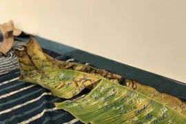 Người trẻ "chơi chữ" trên lá cây, gốm, khung thêu