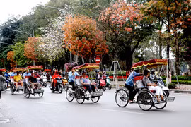 Tháng 2, Hà Nội thu 9,22 nghìn tỷ từ hoạt động du lịch 