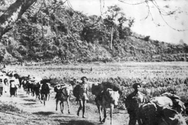 Trưng bày chuyên đề “Điện Biên Phủ - Tinh thần bất diệt"