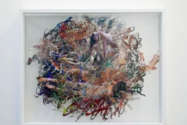 Nghệ sĩ Nhật Bản trưng bày các bức ảnh được chuyển hóa thành các đồ vật