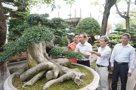 Festival sinh vật cảnh Hà Nội lần thứ Nhất - năm 2024