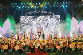 Dừng tổ chức Lễ hội Hoa ban năm 2021