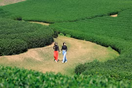 Mộc Châu được công nhận là Khu du lịch quốc gia