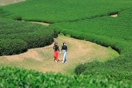 Mộc Châu được công nhận là Khu du lịch quốc gia