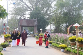 "Tết làng Việt 2025" chào xuân Ất Tỵ tại làng cổ Đường Lâm
