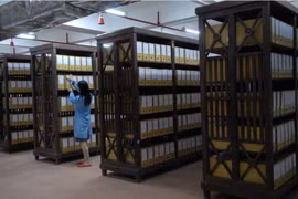 Công bố tài liệu lưu trữ quốc gia phục vụ xây dựng, phát triển kinh tế - xã hội, bảo vệ chủ quyền đất nước