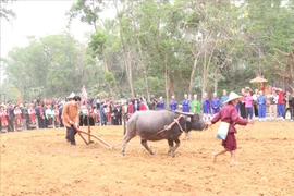 Chủ tịch nước Lương Cường thực hiện nghi thức mở xá cày, cầu cho một năm mùa màng bội thu