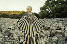 Chuyến lưu diễn 5 tỉnh thành Việt Nam của nhạc sĩ, ca sĩ người Pháp gốc Việt 