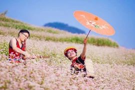  Lễ hội "Sắc hoa trên cao nguyên đá" tôn vinh giá trị văn hóa đặc sắc Hà Giang