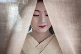 30 nhiếp ảnh gia quốc tế và Việt Nam tham gia chuỗi hoạt động "Photo Hanoi 21"