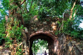 Hạn chế trồng cây lâu năm kích thước lớn trong khuôn viên thành cổ Sơn Tây