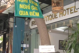 Hà Nội: Khách sạn hạng sang lao đao vì Covid-19, hết giảm giá kịch sàn đến rao bán