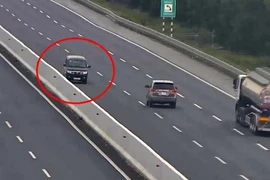  Giấy phép lái xe bị trừ hết điểm sẽ thu hồi?