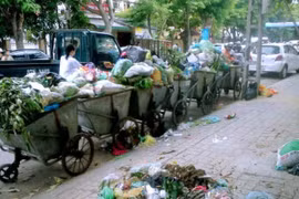 Từ năm 2025: Không phân loại rác thải phải trả phí thu gom như với chất thải rắn? 