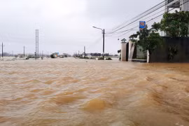 Tung tin đồn thất thiệt về bão lũ miền Trung có thể bị phạt tù tới 7 năm