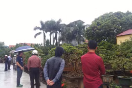 Sân chơi mới cho những người yêu cây cảnh