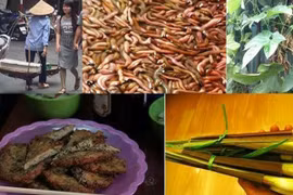 Thưởng thức chả rươi thơm ngon đúng điệu