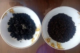 Cảnh giác với tin đồn về gạo giả