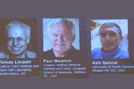 Nobel Hóa học 2015 tôn vinh nghiên cứu về ADN