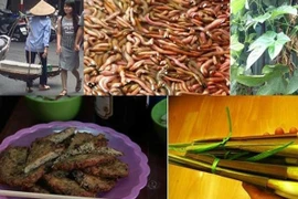 Thưởng thức chả rươi thơm ngon đúng điệu