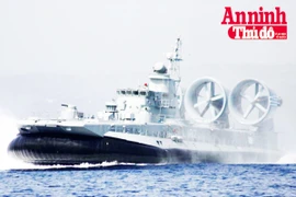 [Infographic] Zubr - Sức mạnh Bò mộng nơi biển cả