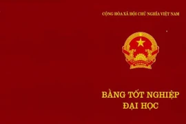 Bằng tốt nghiệp đại học bị mất, có được cấp lại?